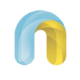 N Logo